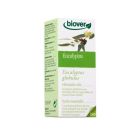 Biover Etherische Eucalyptusolie biologisch 