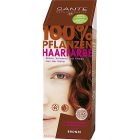 Sante Haarverf Brons (bronze)